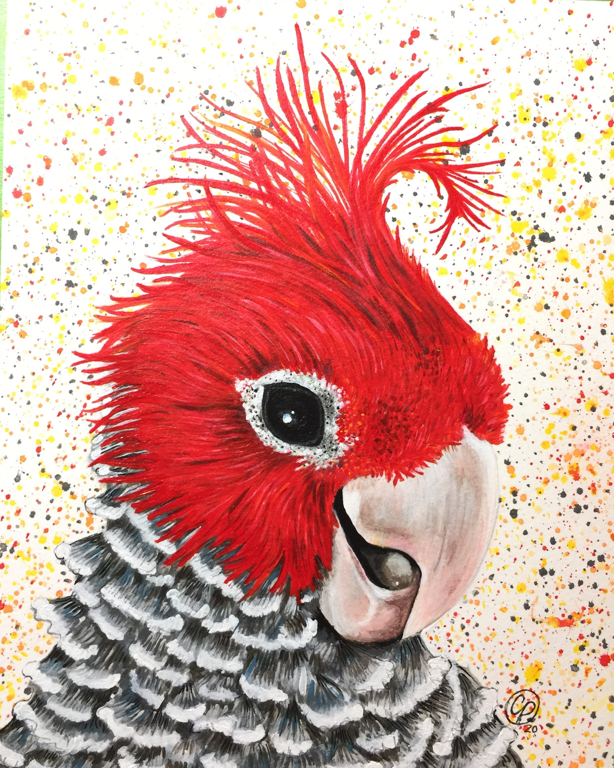 Vagabond Artistry bird with red head