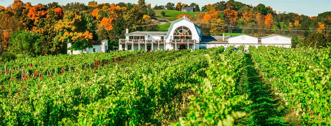 Millbrook Vineyards venue